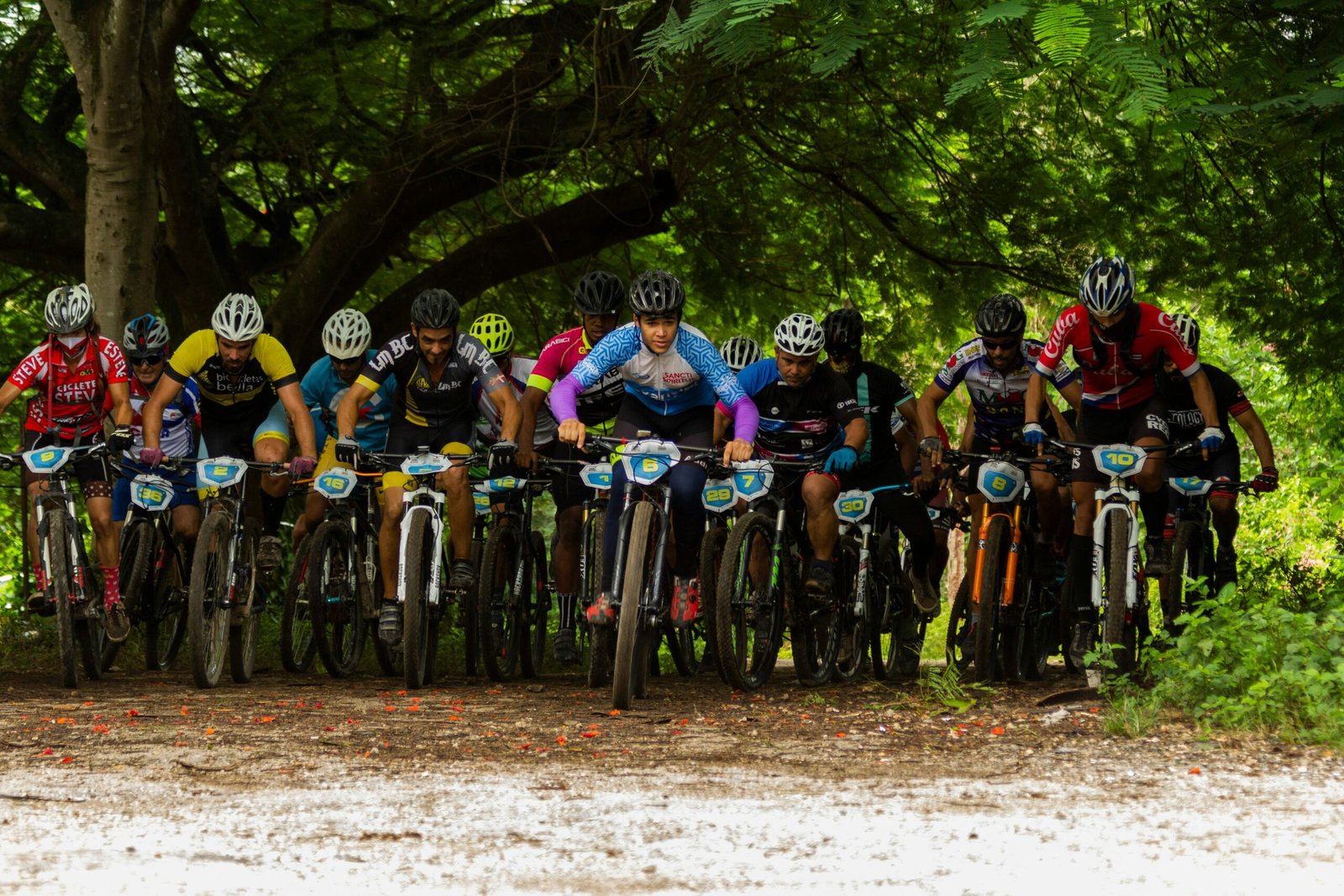 group of people riding bicycles